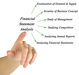 Wall Mural - Diagram of Fundamental Analysis