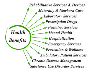 Diagram of Essential Health Benefits