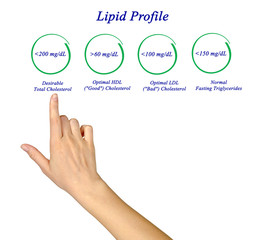 Sticker - Diagram of Lipid profile