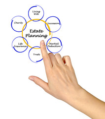 Poster - Diagram of Estate Planning