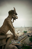 Fototapeta Paryż - Paris rooftop view
