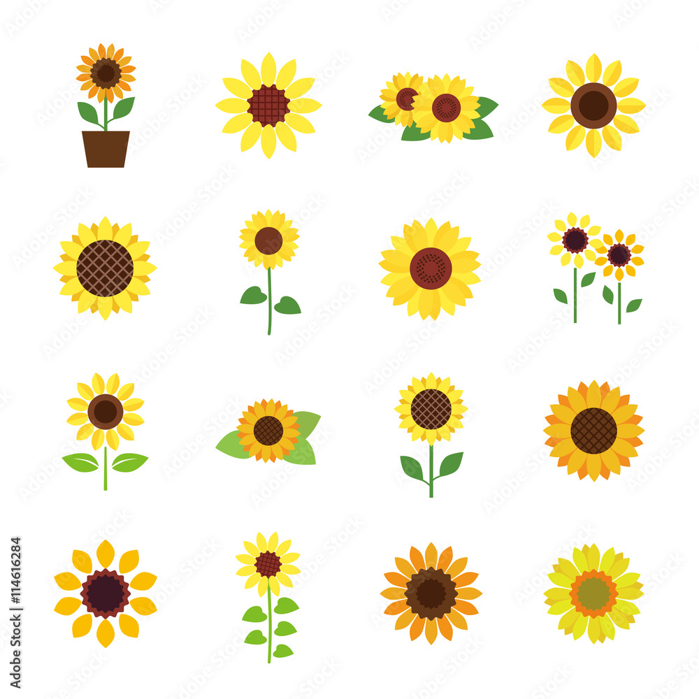 Sunflower icon set Stock Vector | Adobe Stock