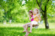 © MNStudio - Two cute little sisters having fun on a swing together in beautiful summer garden