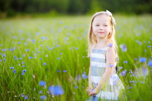 Cute Little Girl Having Fun A Blooming Cornflower Field