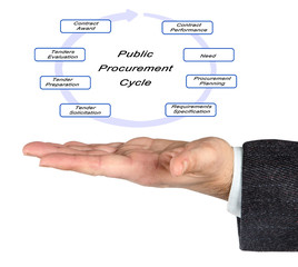 Canvas Print - Public Procurement Cycle