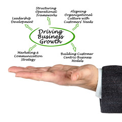 Wall Mural - Driving Business Growth