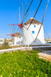 Famous traditional windmills on Mykonos island with flowers in foreground, Cyclades, Greece