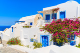 Fototapeta Uliczki - Typical houses decorated with flowers in Oia town on island of Santorini, Cyclades, Greece