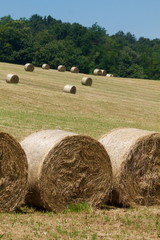 harvested field with hay bales in emilia romagna hills