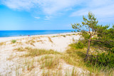 Fototapeta Morze - A view of beautiful sandy beach in Leba town, Baltic Sea, Poland