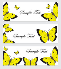 Wall Mural - Set butterflies banner. Banner template with butterflies. Colored butterfly banner. Vector illustration