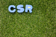 Wording CSR on artificial green grass