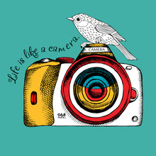 The Poster With The Image Of The Camera And Bird. Vector Illustration.