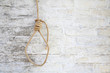 © prohor08 - Веревка с петлей на фоне кирпичной стены