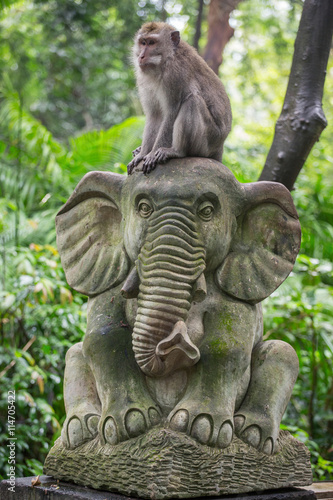 Monkey In The Sacred Monkey Forest Sanctuary Mandala Wisata Monkey In The Sacred Monkey Forest Sanctuary Mandala Wisata