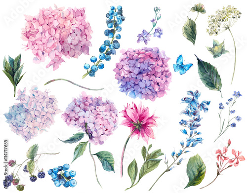 Cuadros en Lienzo Set vintage watercolor elements of Hydrangea
