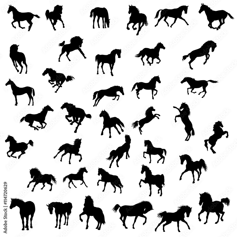 horse vector illustration big set of black silhouette Stock Vector ...