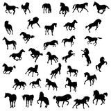Fototapeta Dinusie - horse vector illustration big set of black silhouette