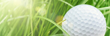 Golf Ball Over Green Grass Background. Sport And Leisure Concept 