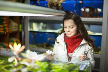 Wall Mural - Positive female customer watching fish in aquarium tank