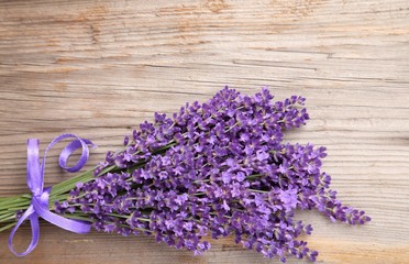 Fotomurales - Lavender.