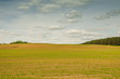field and cloudy sky/the field for crops and the cloudy sky