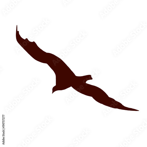 Turkey Buzzard Silhouette Red Buy This Stock Photo And
