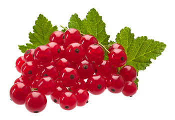 Wall Mural - Red currant on white