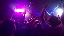 Crowd Making Party At A Rock Concert. People Dancing At Party In Club