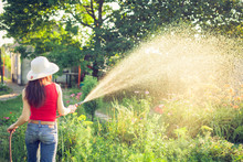 Watering  With A Hose,  Gardening Concept