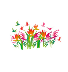 tropical exotic decorative flowers and color little birds. vecto