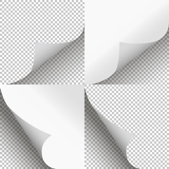 Wall Mural - Pages curl set stylish illustration vector design