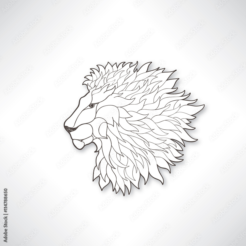 Lion head. African animal lion face isolated vector outline sketch illustration