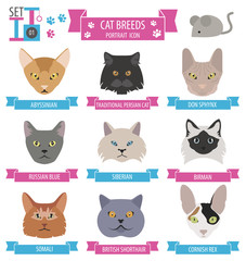 Wall Mural - Cat breeds icon set flat style