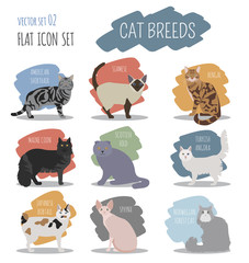 Wall Mural - Cat breeds icon set flat style