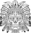 skull of native american