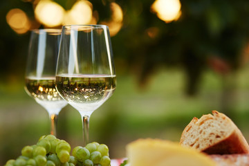 Wall Mural - Two glasses of white wine with food