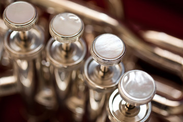 Wall Mural -  Fragment of a bass tuba valves closeup