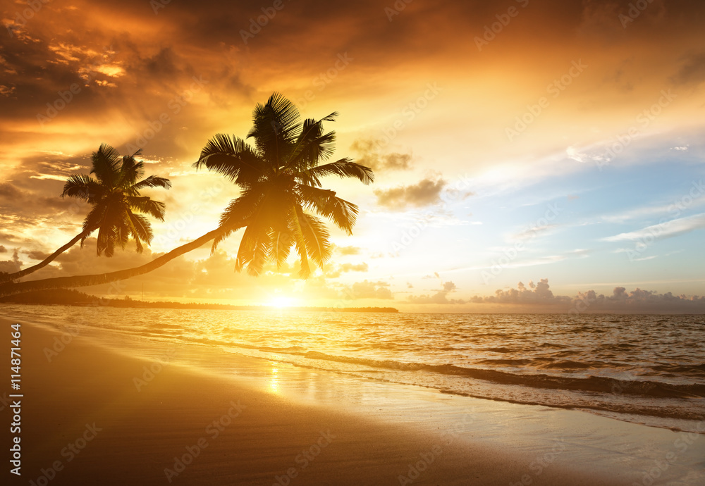 Photo 4k De La Plage Obrazy Fototapety Plakaty Bajeczneobrazy Pl Photo 4k De La Plage Obrazy Fototapety Plakaty Bajeczneobrazy Pl
