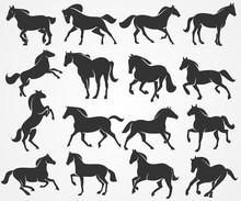 Vector Horses Silhouettes On A Grey Background
