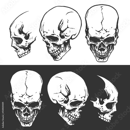 Black and white skulls
