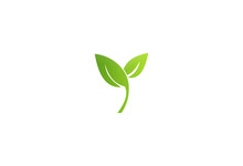 Green Leaf Seed Nature Logo