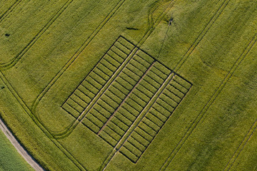 aerial view of the  harvest field