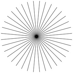 Fototapete - Radial, radiating straight thin lines. Circular black and white