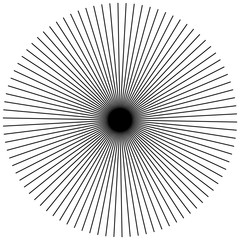 Fototapete - Radial, radiating straight thin lines. Circular black and white