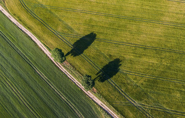 aerial view of the  harvest fields