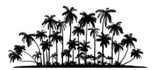 Group Of Palms Vector Silhouettes