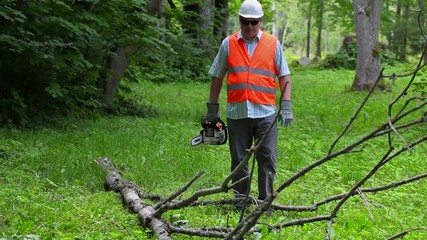 Sticker - Lumberjack with chainsaw walking near big tree branch
