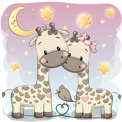 Two cute giraffes