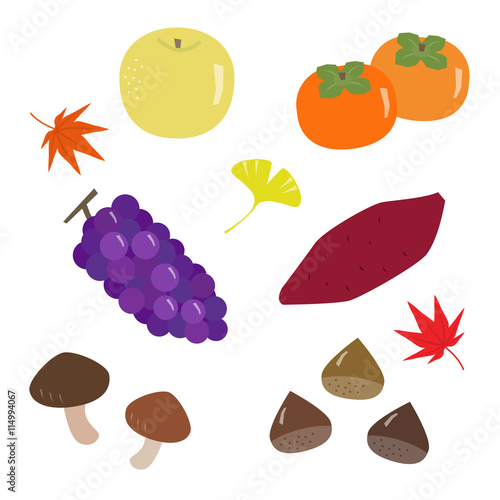 秋の味覚 イラスト素材 Vector Eps 10 Stock ベクター Adobe Stock
